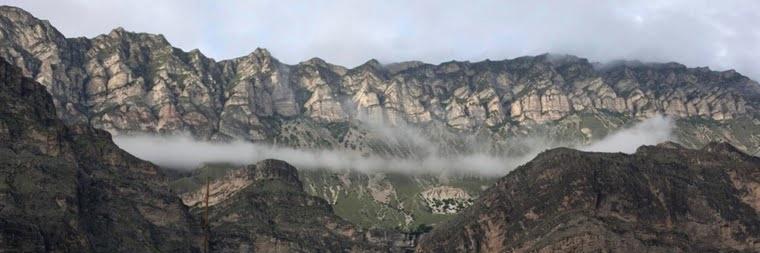 Alissa de Carbonnel banner