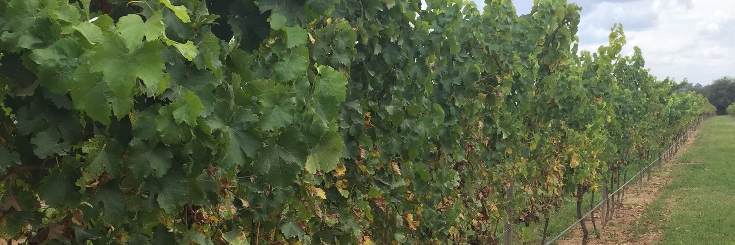 Ocampo32's profile banner image
