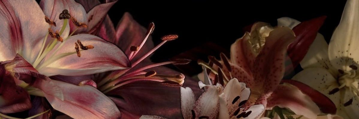 rayadimitrov's profile banner image
