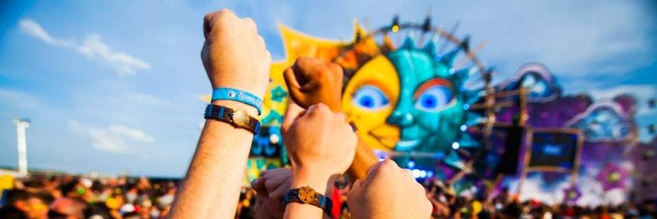 fistintheair.com banner