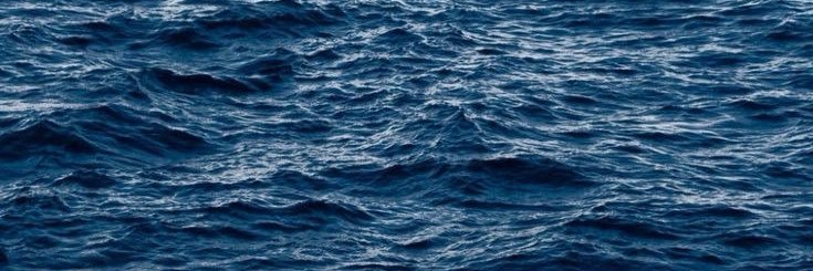 🌴 banner