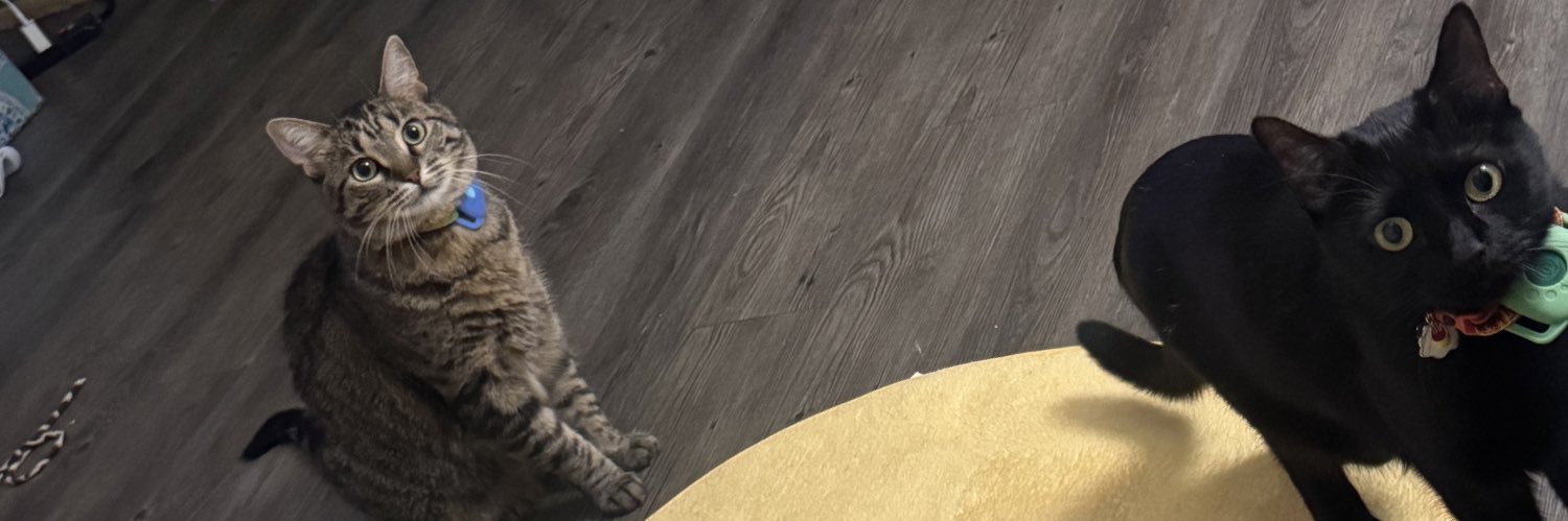 BIGPP 🐺's banner