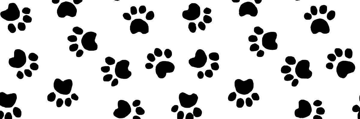 🐾 Nico .ᐟ ˢʰᵉᵈᵗʷᵗ banner