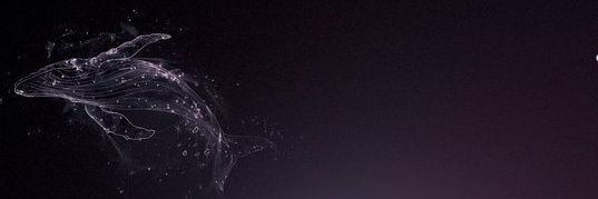 위험한 사랑을 합니다. | 2025 플레이브 예준 생일카페's banner
