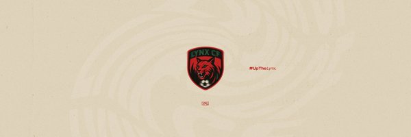VPGLynxCF Profile Banner