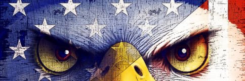 Old Dog, New Trick banner