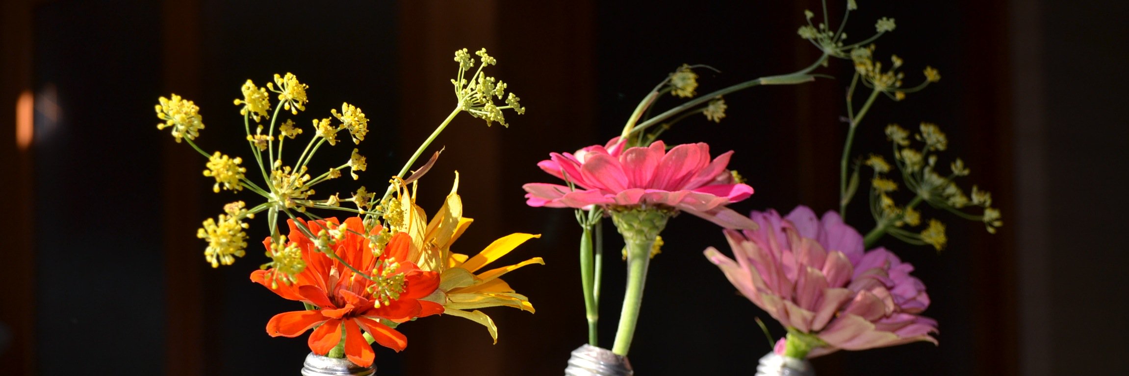 annecberkeley's profile banner image