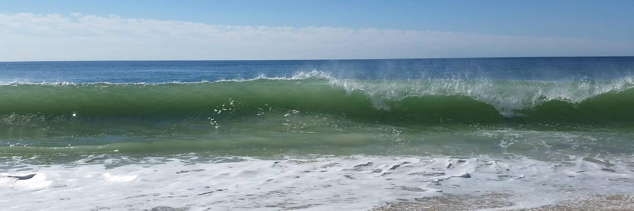 Meaghan Finnerty banner