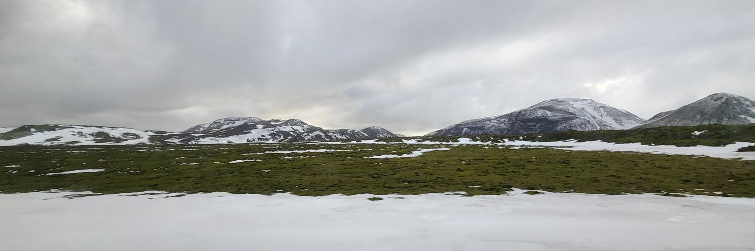 Jennifer Tran banner