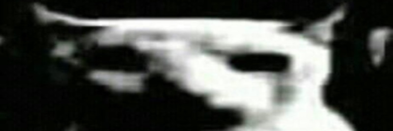 Uterinbomber's profile banner image