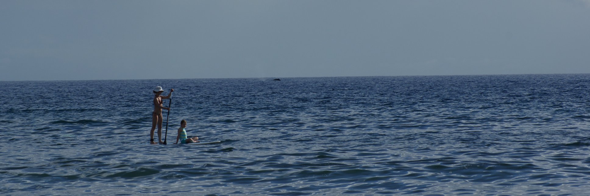 @StandUpPaddle banner