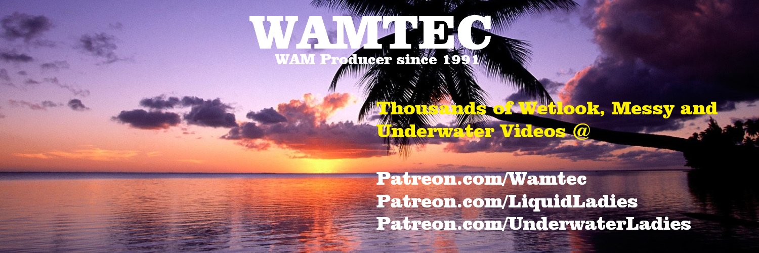 Wamtec.com banner