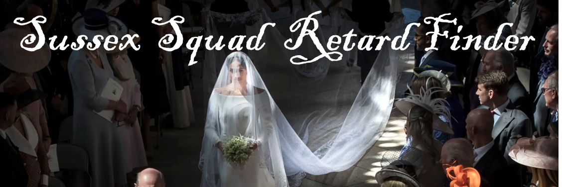 Sussex Squad Retard Finder's banner