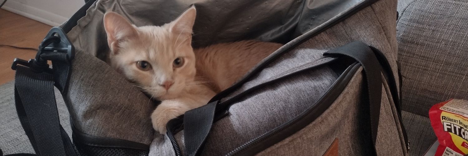 Baked~Bean~Eater💛🤍💜🖤 banner