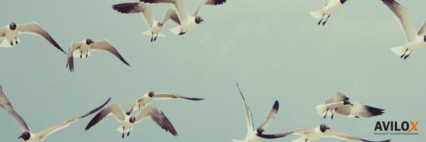 myavilox Profile Banner