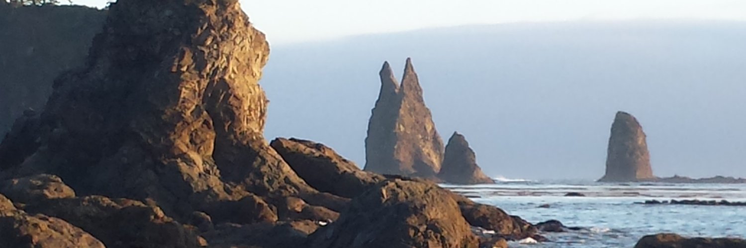 Recovering Curmudgion banner