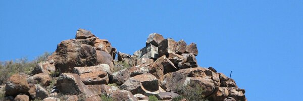 CreatureFXSA Profile Banner