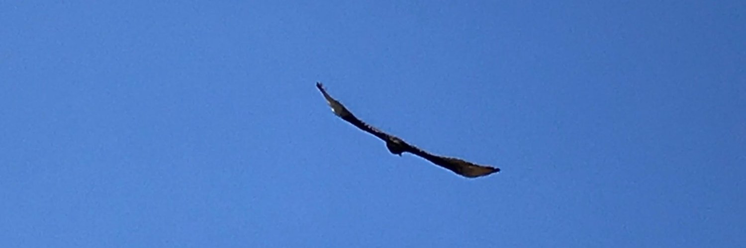 Advanced Persistent Regret banner