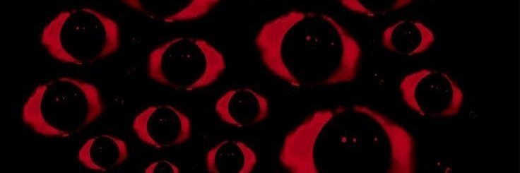 "Iris"'s banner