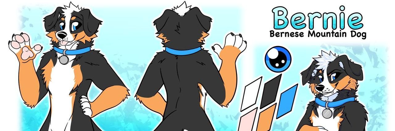 Bernie banner