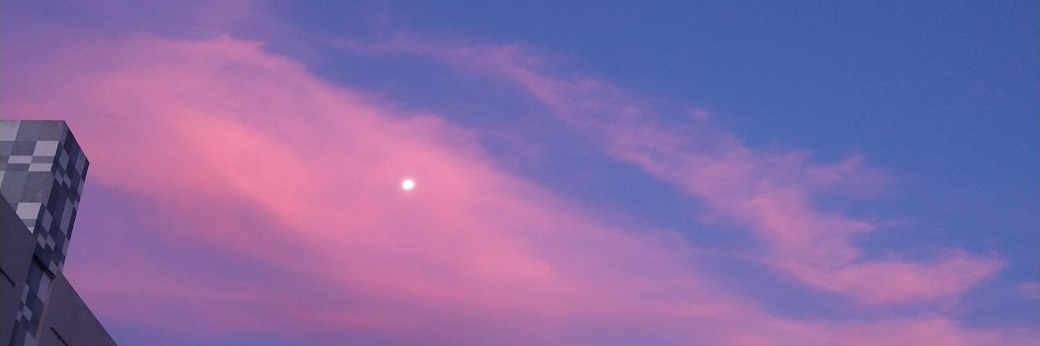 leiretoloza's profile banner image