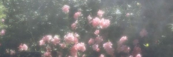 madgummybearxx Profile Banner