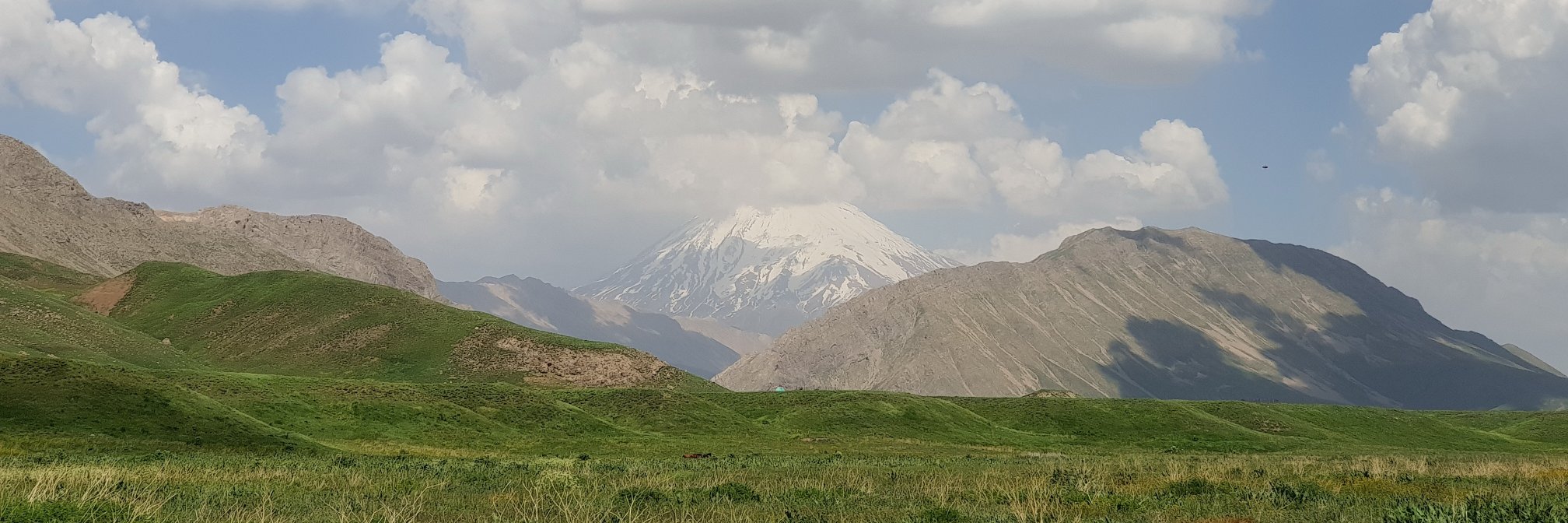 Dokhi banner