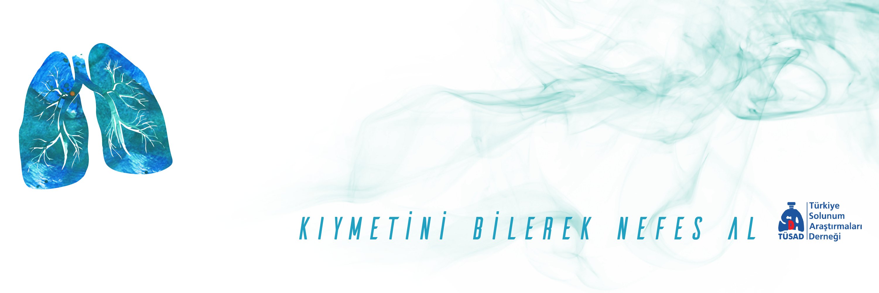 solunum's profile banner image