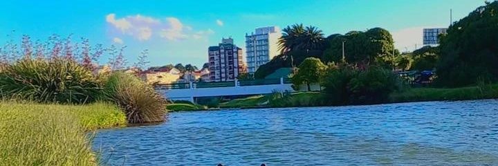 aylen_escalant's profile banner image