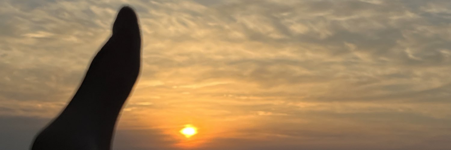 泉麦面包🍞 banner
