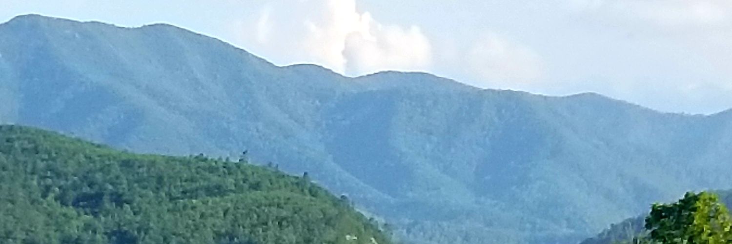 gericeh's profile banner image