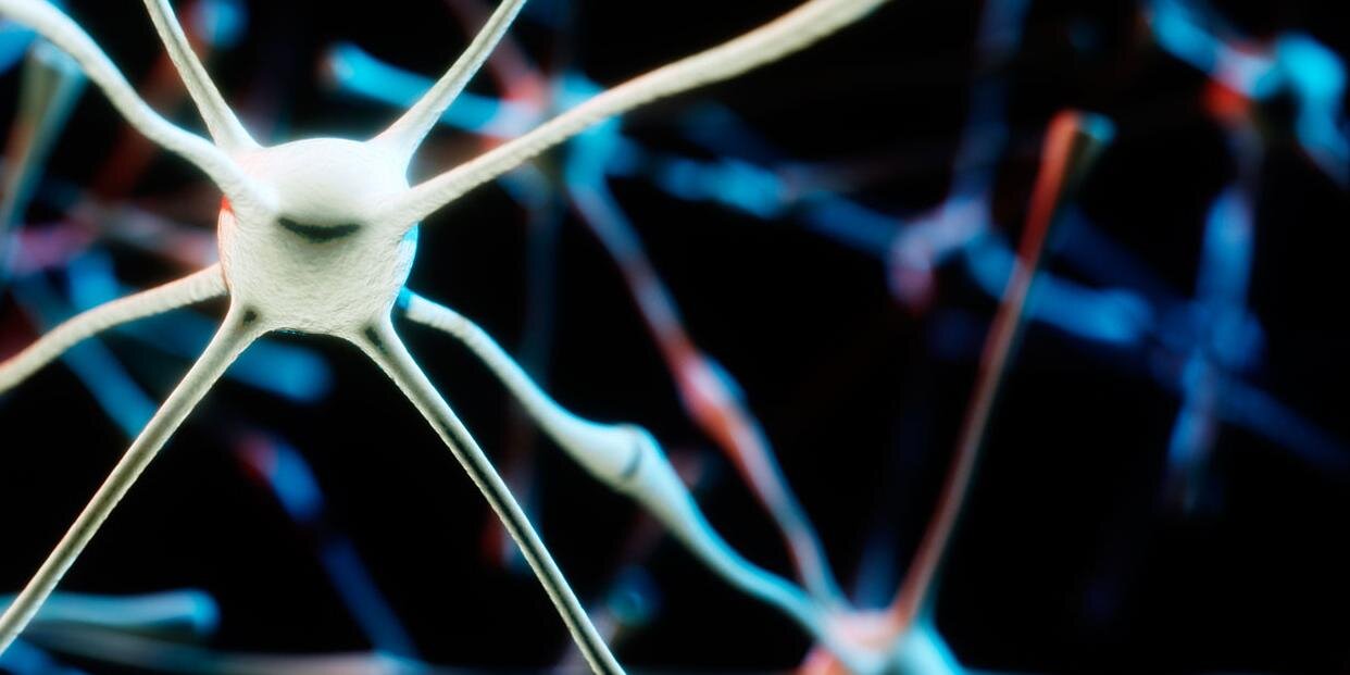 Biomatters's profile banner image