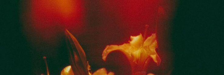Riri banner