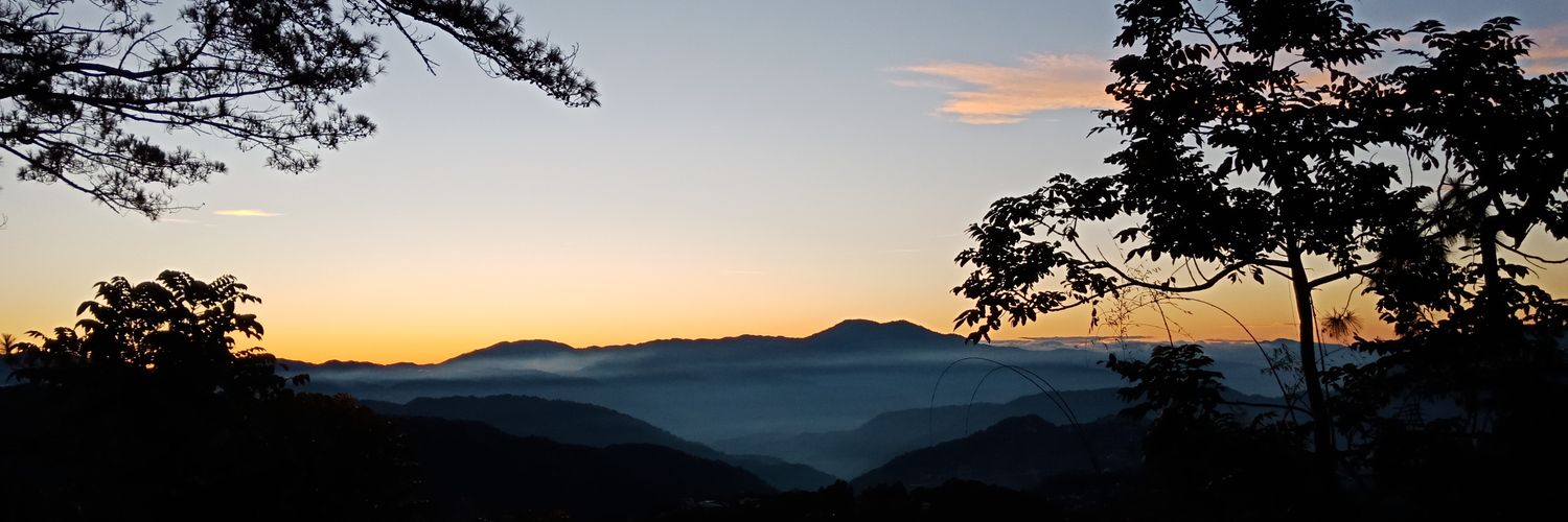 ifedyou's profile banner image