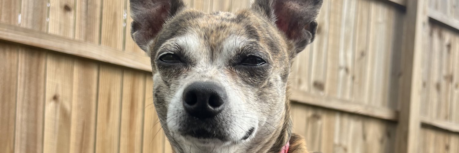 kateharplee's profile banner image