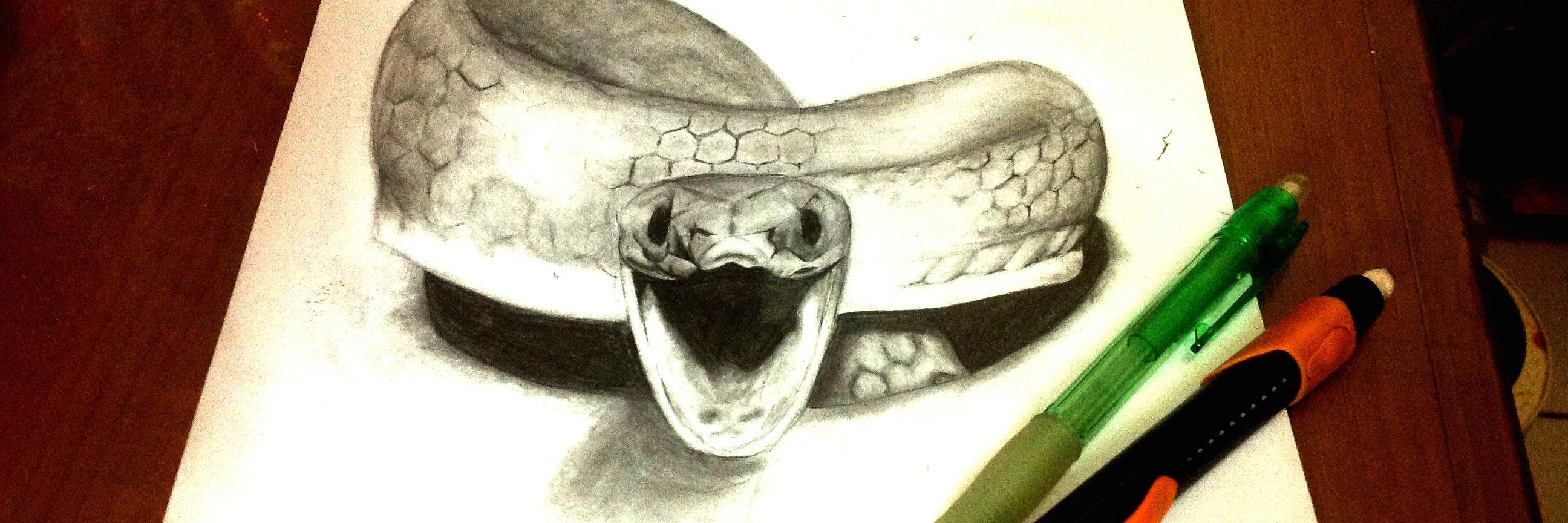 paper_snake's profile banner image