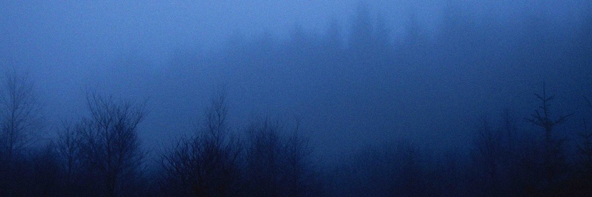 snailcomet0's profile banner image