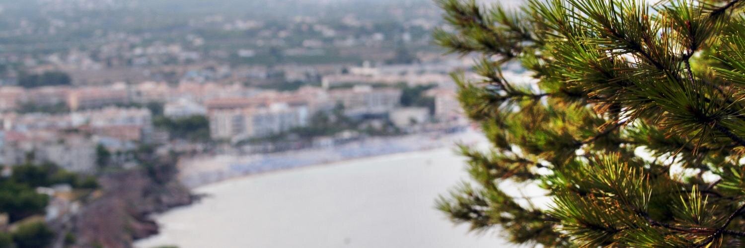 Juan López banner