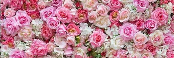 Mrs_Whitesell's profile banner image