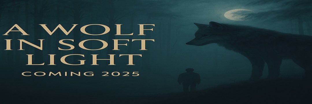 softlightbook's profile banner image