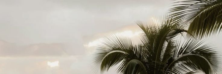 𝄃𝄃𝄂𝄂𝄀𝄁𝄃𝄂𝄂𝄃 banner