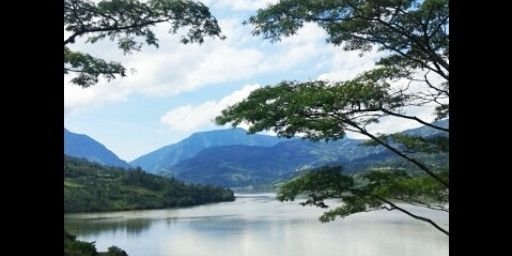 Nanitopaez's profile banner image