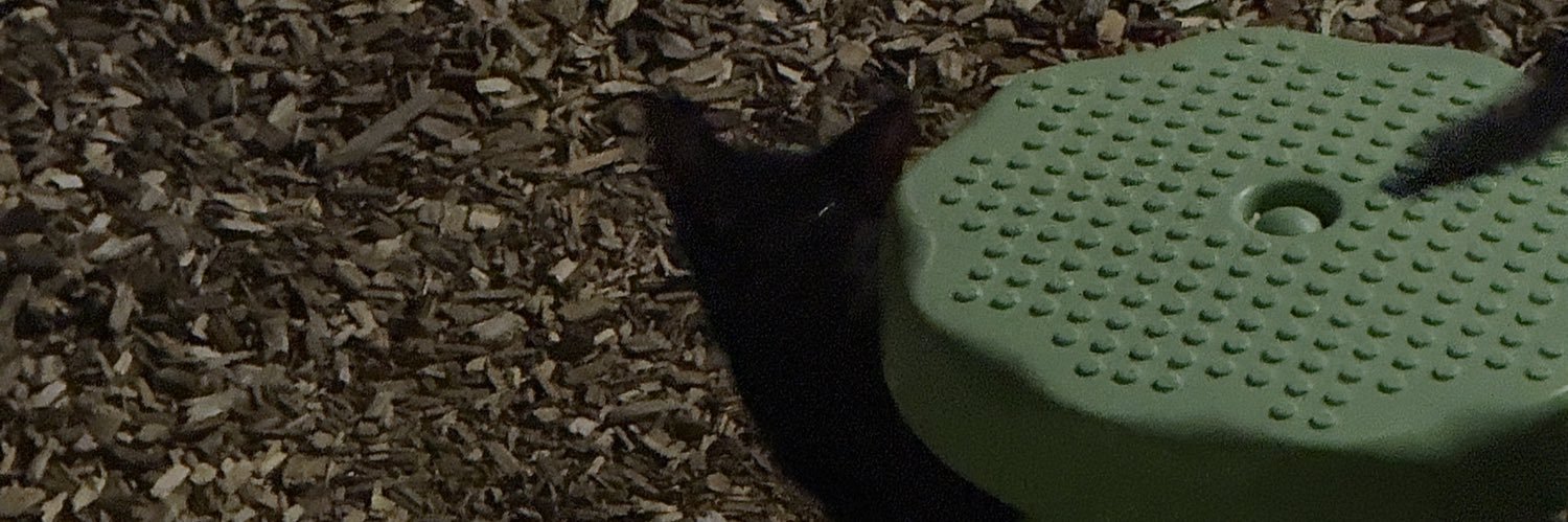 tlubn's profile banner image