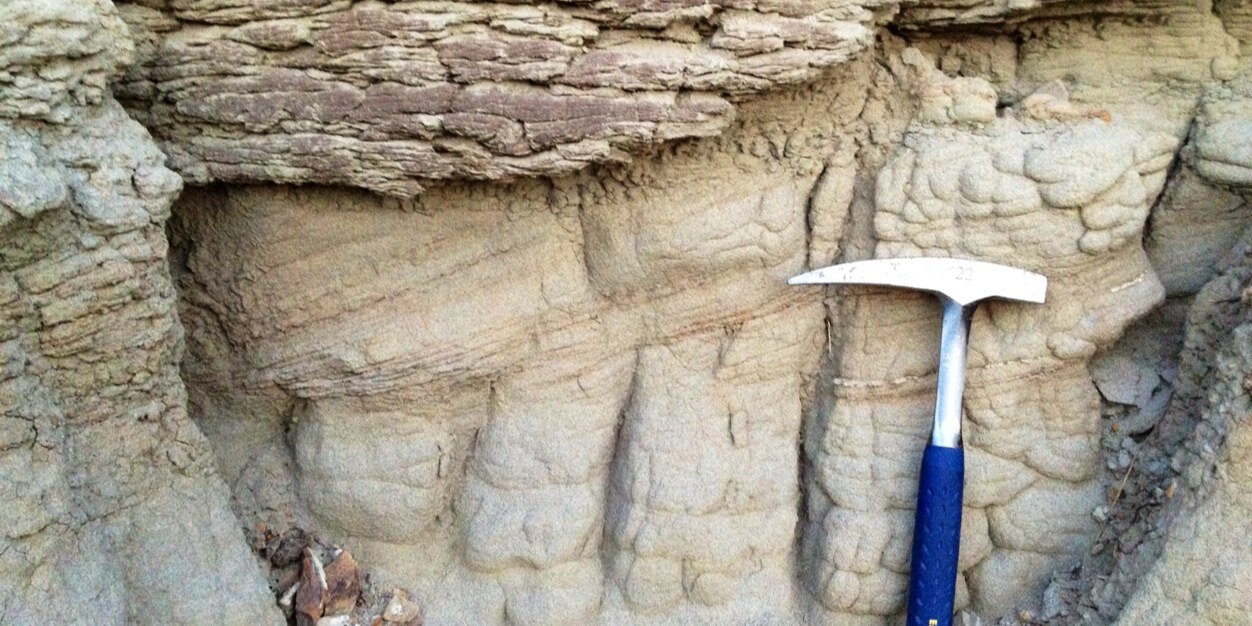 SGDS Hive - Andy Randell banner