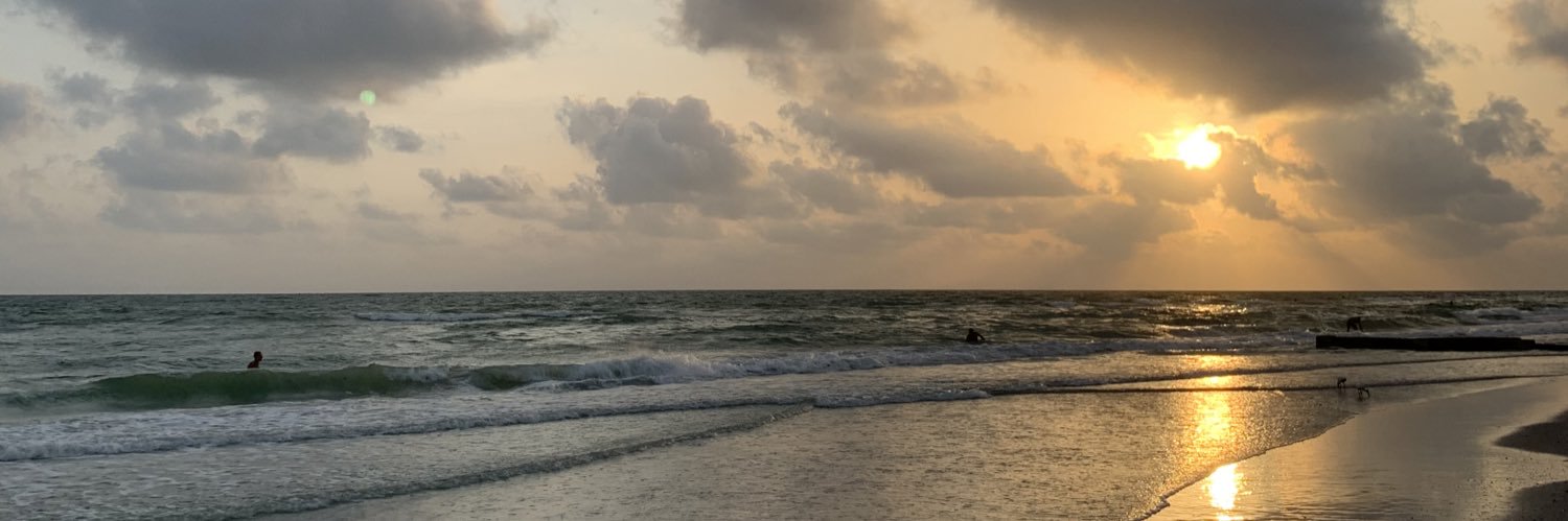 lil_howi3's profile banner image