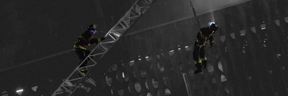 liv's banner