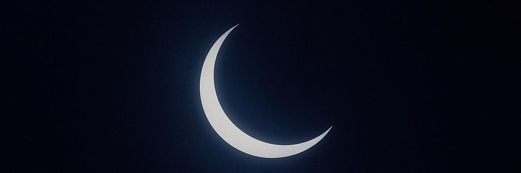 Savannah Selene banner
