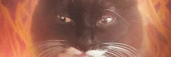 EseAlexWolf1 Profile Banner