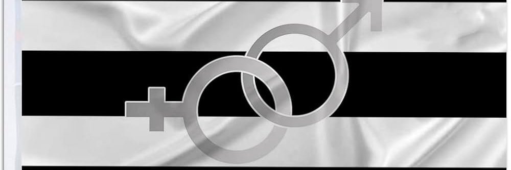 Niklas Clamer banner