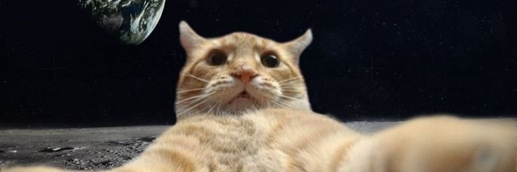 CachorroHot75_'s profile banner image